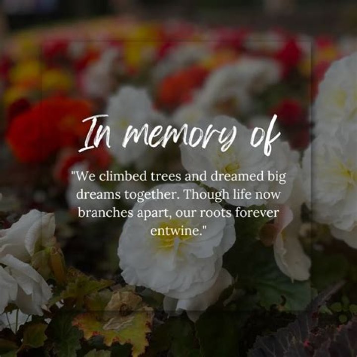 In Memoriam: Sumith Maddi - A Cherished Life Remembered