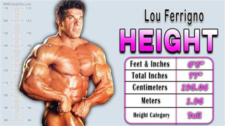 Incredible: Lou Ferrigno's Astounding Height