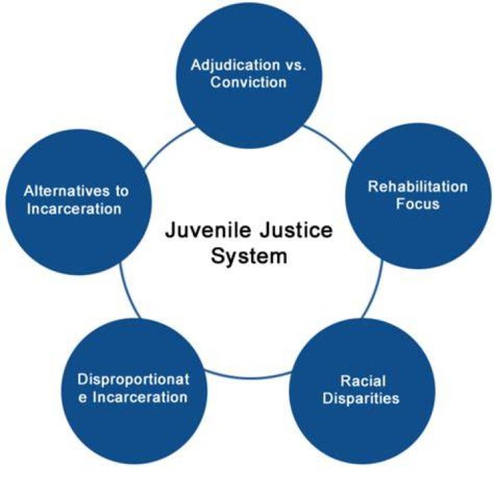 Insights Into Juvenile Justice And Mental Health ·