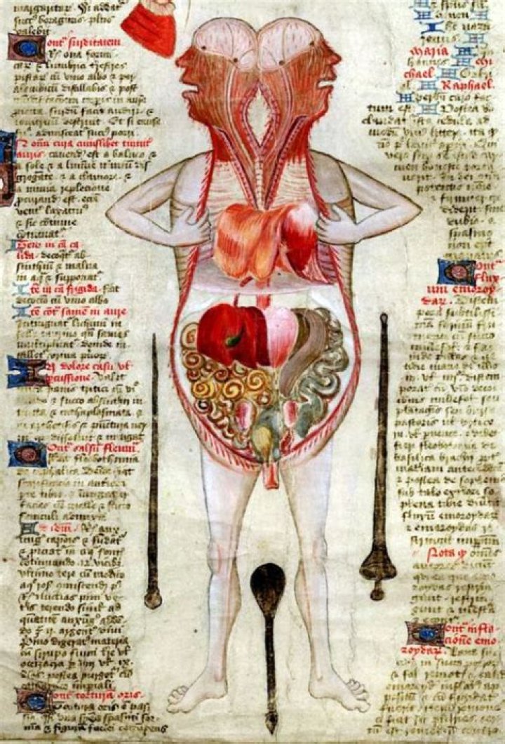 Investigating Tarrare's Unusual Anatomy Through Autopsy