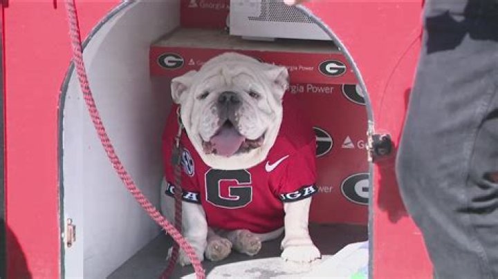 Is Kirby Smart's Georgia Bulldogs Tenure Coming To An End?