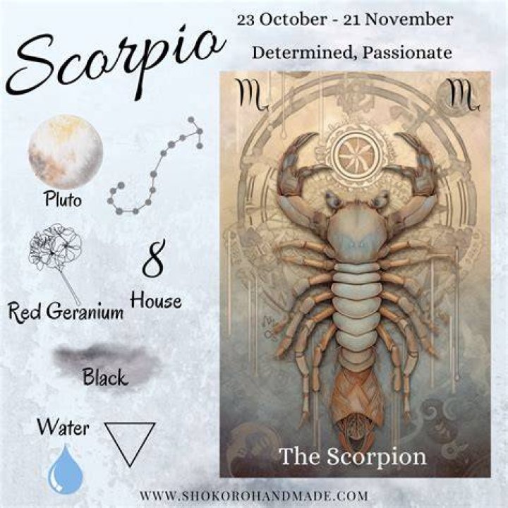 Is Scorpio A Water Sign? Uncover The Zodiac's Truth