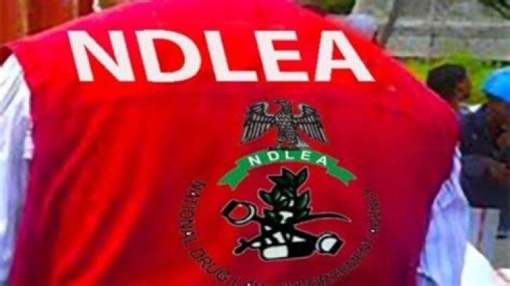 Join The Fight Against Drugs: NDLEA Recruitment Now Open!