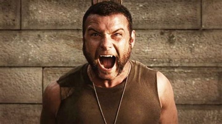Liev Schreiber's Brother: A Behind-the-Scenes Look