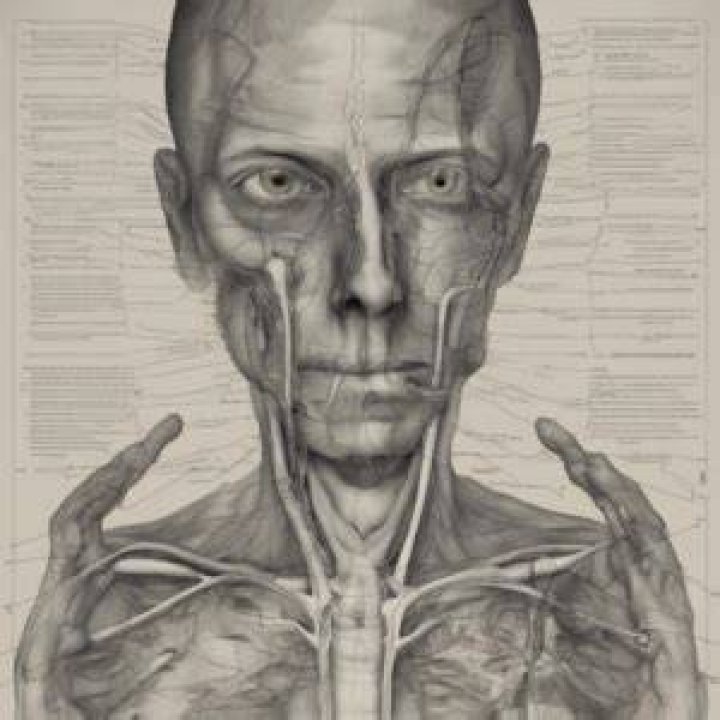 Luis Cevallos Autopsy Report: Uncovering The Truth
