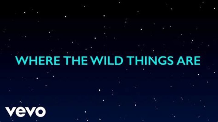 Luke Combs Where The Wild Things Are Story