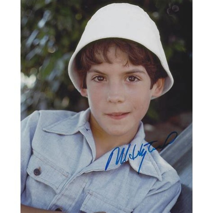 Matthew Labyorteaux: Child Star To Acclaimed Actor
