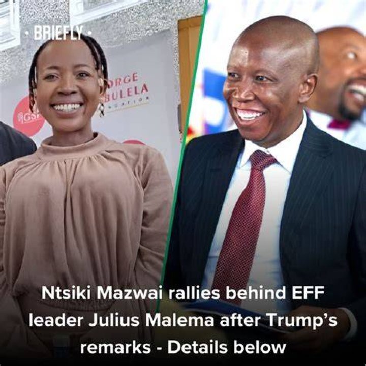 Meet The Woman Behind Julius Malema