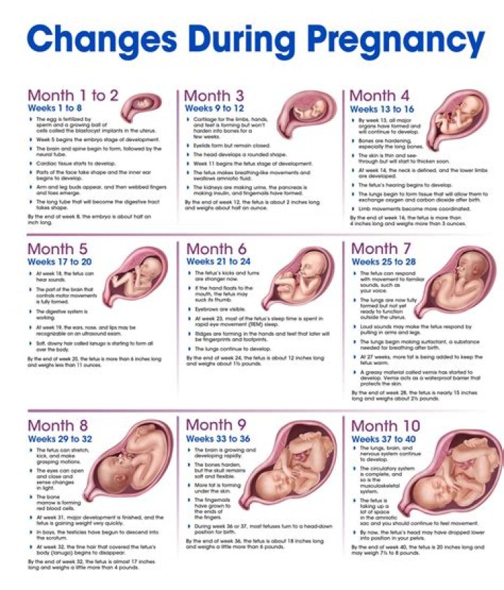 Molly Yeh's Pregnancy Journey: Expecting A Baby Girl