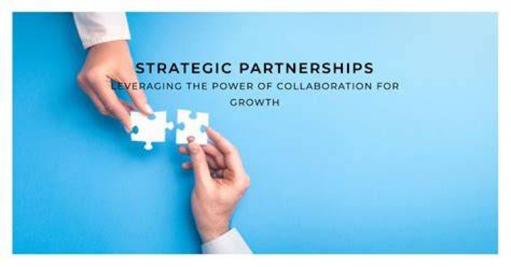 Patty Mayo's Thriving Partnerships: Success Stories And Collaborations