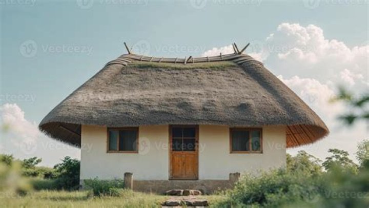 Primitive dwelling that might have a thatched roof ·