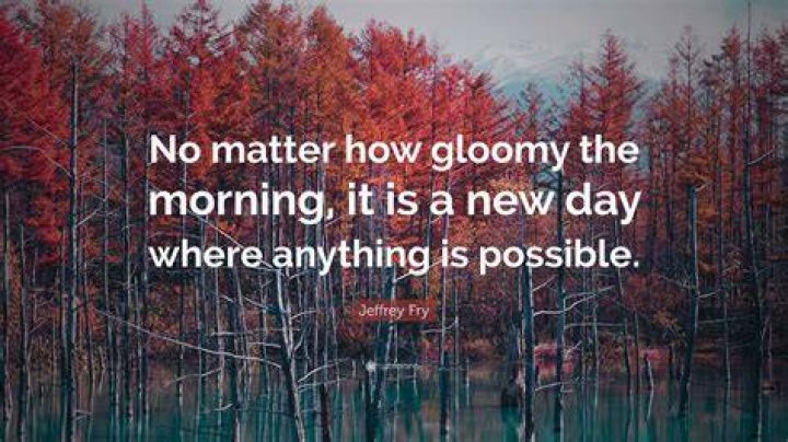 Quotes To Illuminate Gloomy Days