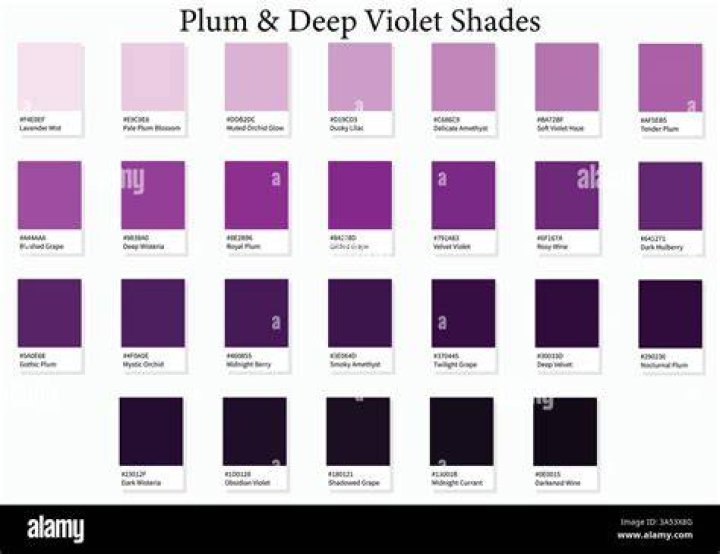 Shade of purple named for a fruit ·