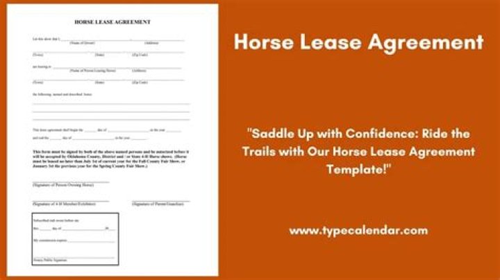 Should I half lease my horse? ·