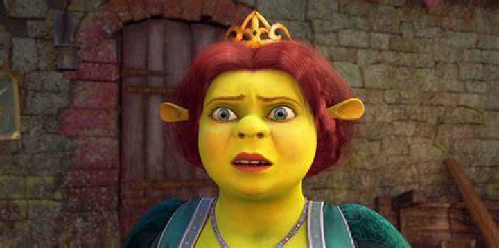 Shrek: The Unforgettable Ogre And His Princess