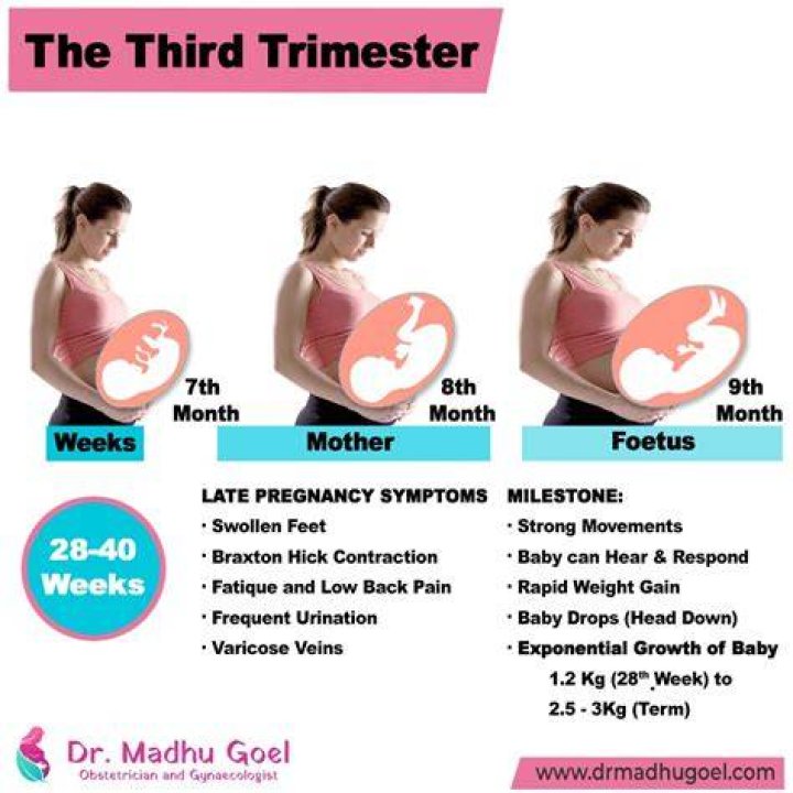 Signs And Symptoms Of A Third Pregnancy Showing