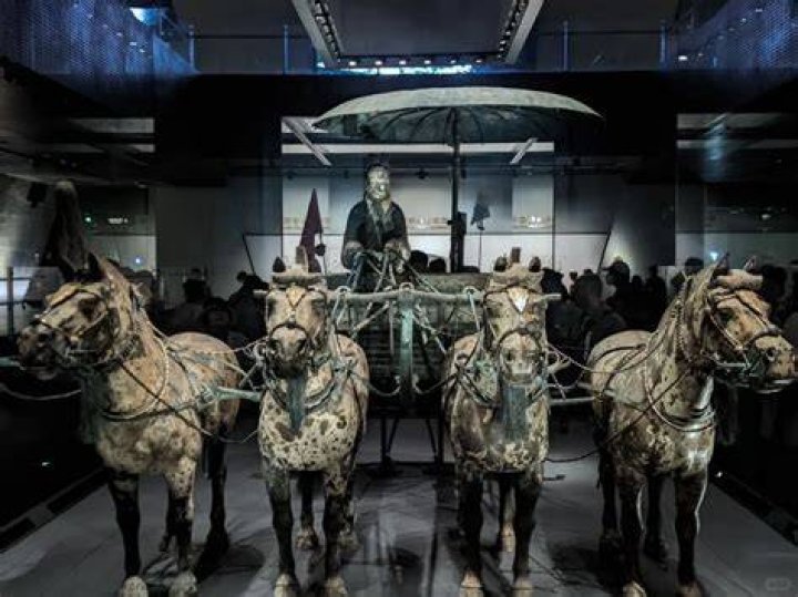 Star-Studded Lineage And Passion For Horses