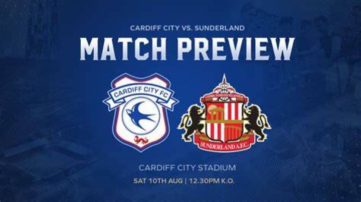 Streaming: Cardiff City VS Hertha Live 25/07/2024