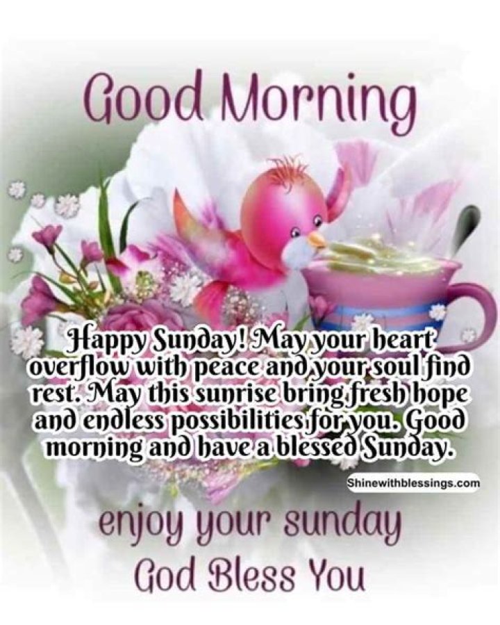 Stunning Good Morning Sunday Blessings Images To Inspire Your Day