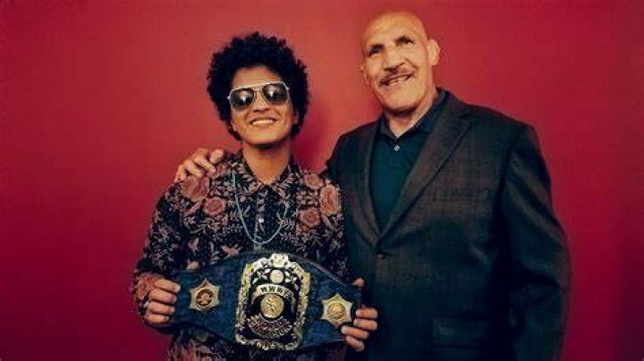 The Comprehensive Guide To Peter Hernandez (Bruno Mars)