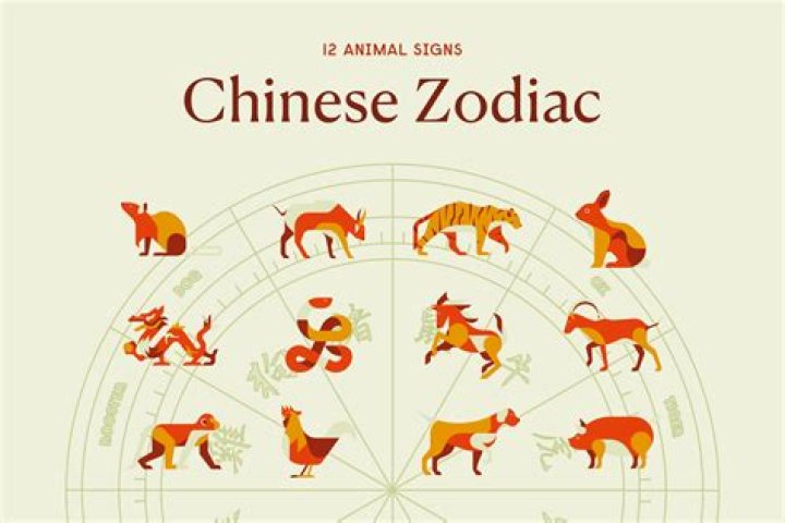 The Definitive Guide To The Chinese Zodiac 2018: Predictions And Insights