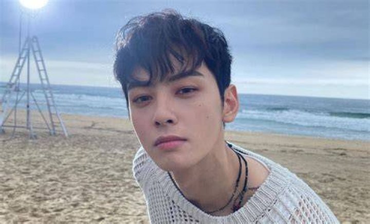 The Enchanting Charisma Of Cha Eunwoo: A K-Pop Superstar