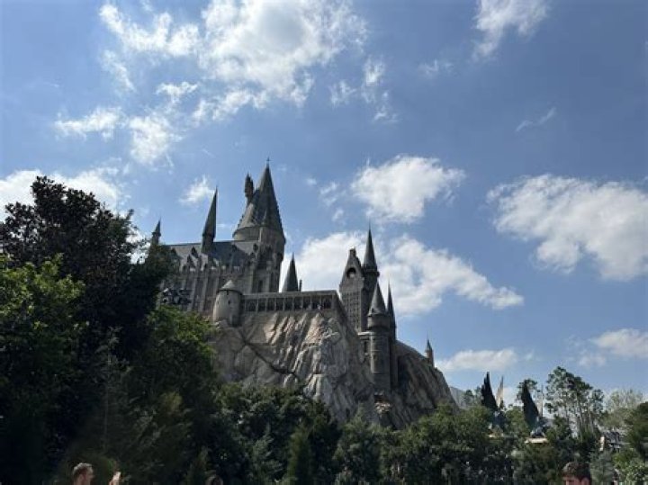 The Enchanting Phoenix Den At Hogwarts School Of Witchcraft And Wizardry