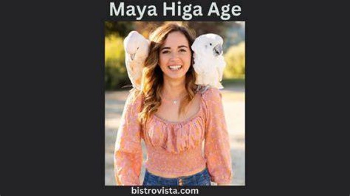 The Love Life Of Maya Higa: A Comprehensive Guide