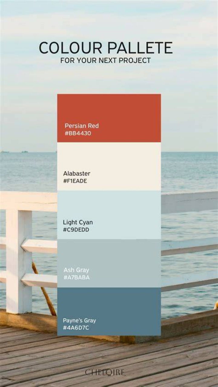 The Perfect Palette For Your Next Project
