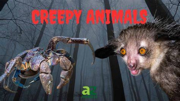 The Spine-Chilling World: Unveiling The Scariest Animals On Earth