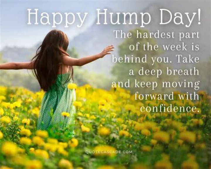 The Ultimate Collection Of Inspirational Hump Day Quotes And Sayings