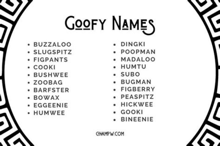 The Ultimate Guide To Goofy Names