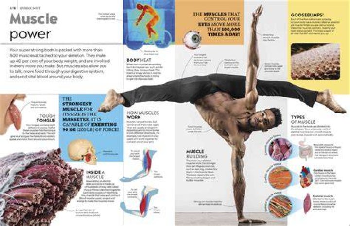 The Ultimate Guide To The Most Talented Performers