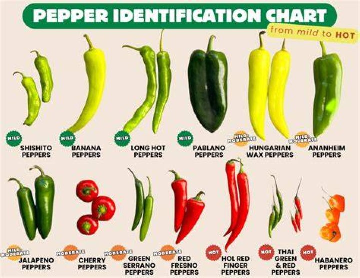 The Ultimate Guide To The Red Hot Chili Peppers' 19-Year-Old Girlfriend