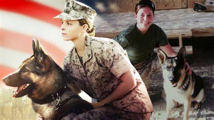 The Unforgettable Story Of Marine Megan Leavey: A Hero And Her Faithful Canine