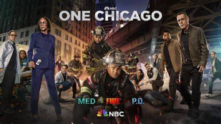 Ultimate Guide To Chicago P.D. Cast Members Who Faced Tragic Ends