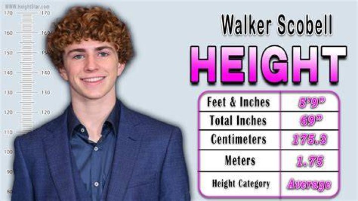 Uncover The Height Of Walker Scobell: Comprehensive Insights