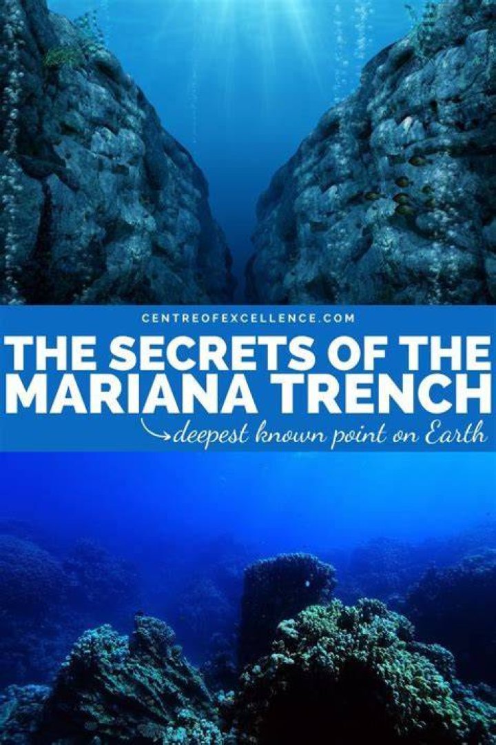 Uncovering Hidden Depths And Industry Secrets