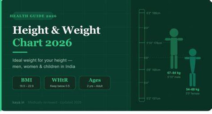 Uncovering His Height And Weight Statistics