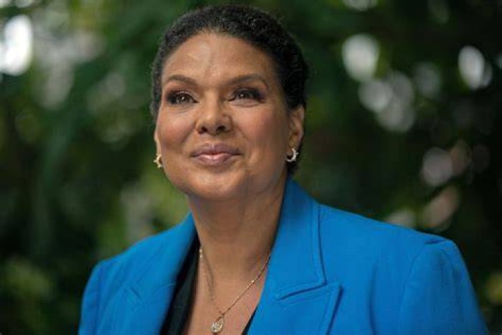 Uncovering Sara Sidner's Heritage And Ethnicity