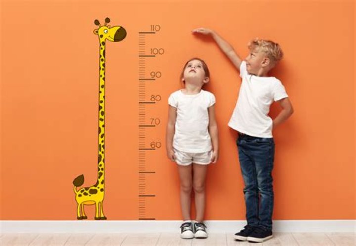 Uncovering The Stats Behind Her Height