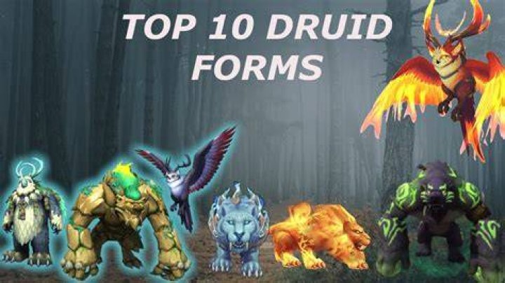 Unlocking The Mysteries Of Druid Names
