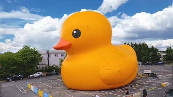 Unraveling The Mystery: Did Ducky Die In Real Life?