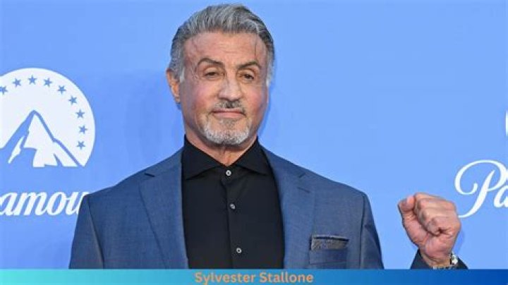 Unveiling Sylvester Stallone's Staggering Net Worth: A Hollywood Legend's Financial Success