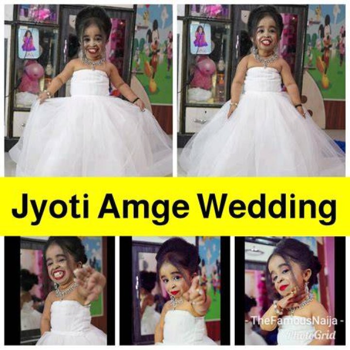 Unveiling The Enchanting Tale Of Jyoti Amge's Wedding Photos