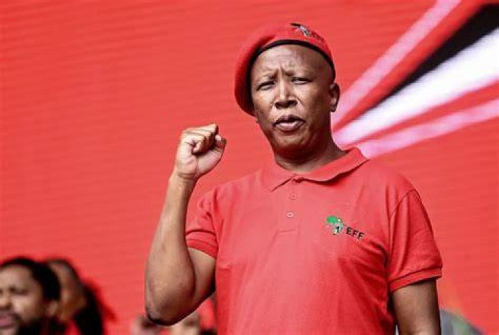 Unveiling The Influence And Impact Of Julius Malema: Discoveries And Insights