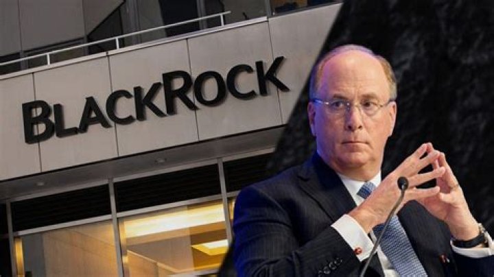 Unveiling The Life Partner Of BlackRock's CEO