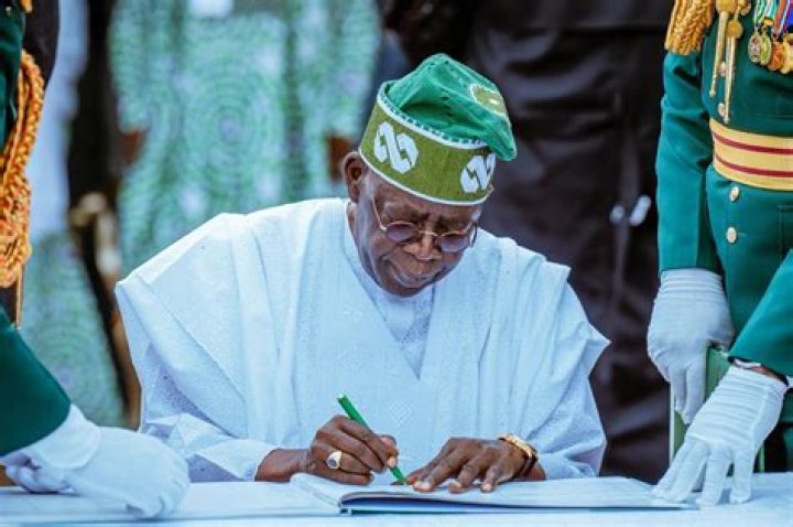 Unveiling The Success And Impact Of Bola Tinubu's Children