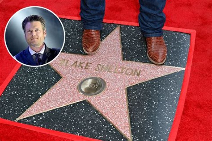 Unveiling The Truth: Did Blake Shelton Have A Twin Brother?