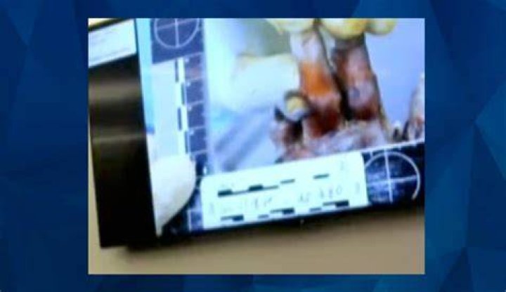 Unveiling The Truth: The Autopsy Of Lacey Fletcher